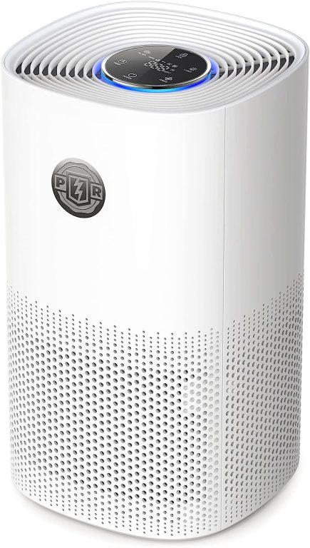 Air Purifiers for Home Bedroom, PARIS RHÃ”NE H13 True HEPA Air Filter Air Cleaner for Pet Smoke Pollen Dander Hair Smell, Portable Air Purifiers with Air Quality Sensor, Sleep Modeï¼ŒAuto Mode, Timer,