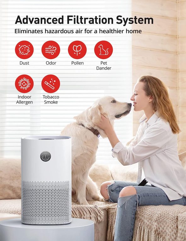 Air Purifiers for Home Bedroom, PARIS RHÃ”NE H13 True HEPA Air Filter Air Cleaner for Pet Smoke Pollen Dander Hair Smell, Portable Air Purifiers with Air Quality Sensor, Sleep Modeï¼ŒAuto Mode, Timer,