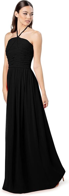 Dress the Population Women’s Aura Fit and Flare Maxi Dress