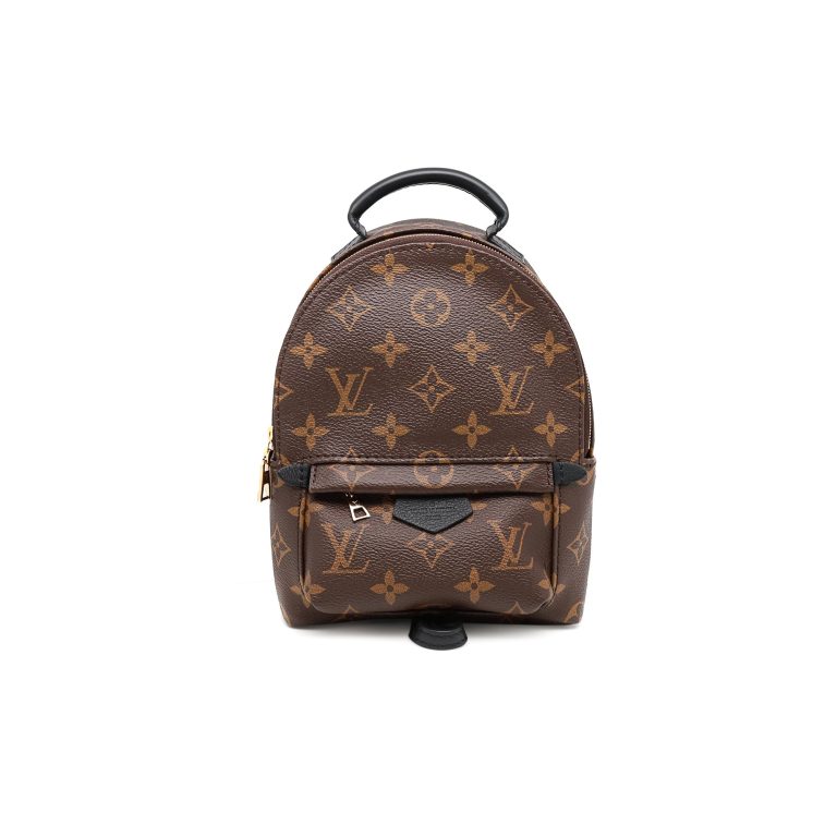 Louis Vuitton Monogram Palm Springs Brown Mini Backpack
