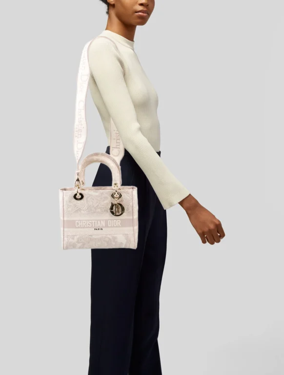 Christian Dior Canvas D-Lite Medium 2022