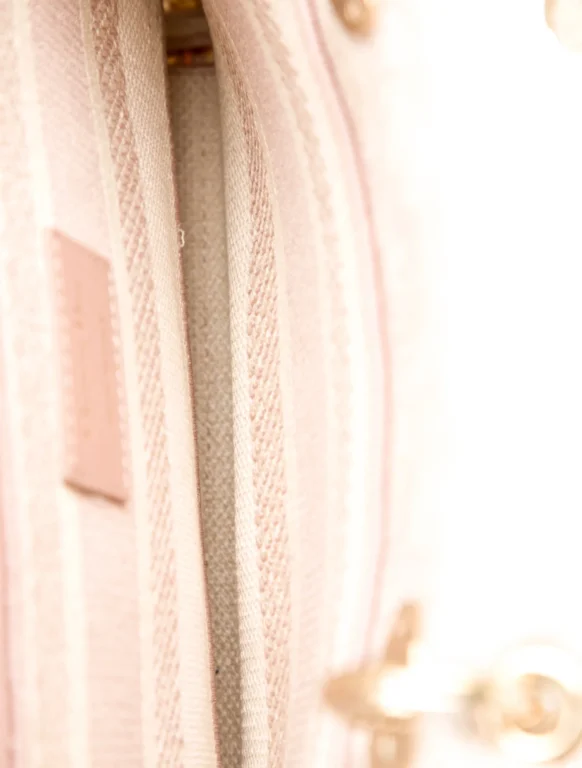 Christian Dior Canvas D-Lite Medium 2022