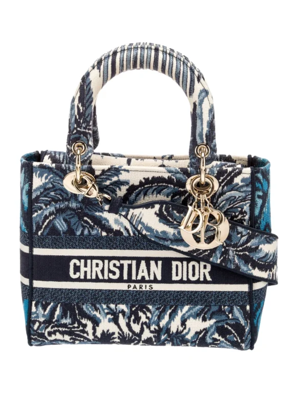 Christian Dior Canvas D-Lite Medium
