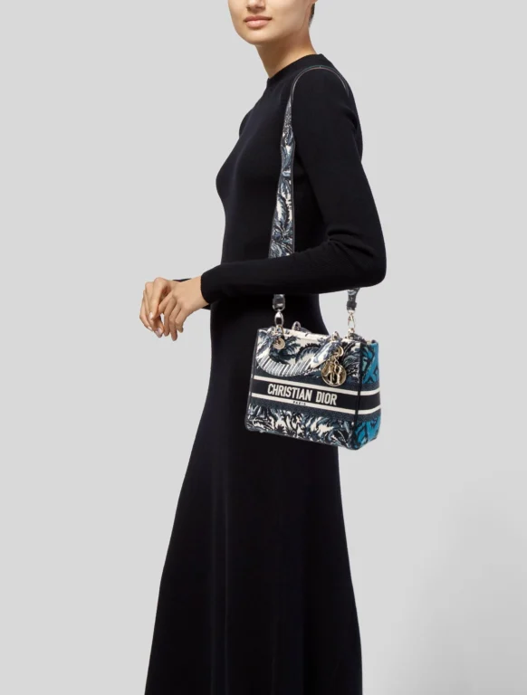 Christian Dior Canvas D-Lite Medium