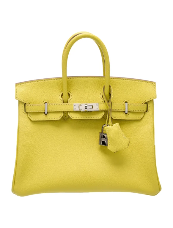 Hermès Chevre Special Order Birkin 25